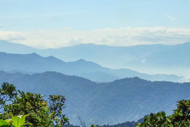 PRIVATE Mindo Cloud Forest tour - A Private Door-to-Cloud-Forest Day Trip From Quito