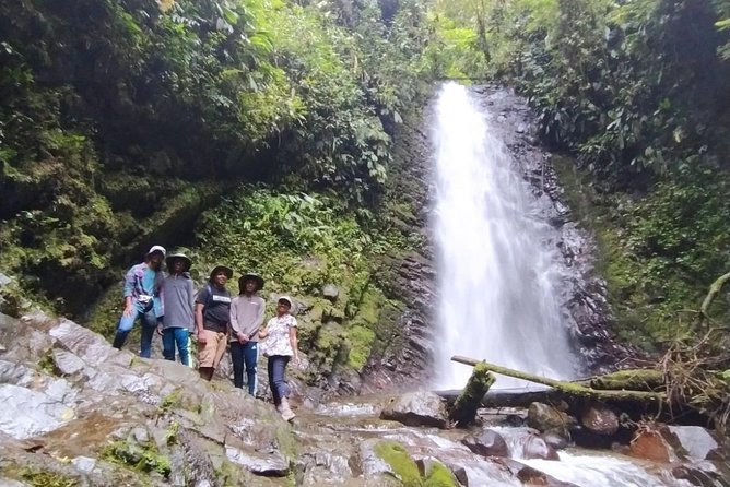 PRIVATE Mindo Cloud Forest tour - Practical Tips That Make the Day Easier