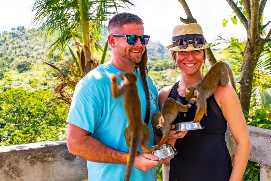 Puerto Plata: Monkeyland and Zip-Line Adventure - One mile of zip lining: jungle, rainforest, and river crossings