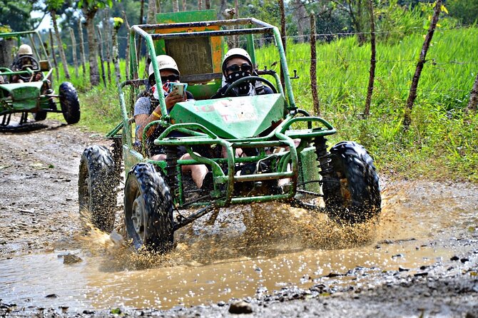 Punta Cana Zip Line, horse riding & Buggy - Key points at a glance