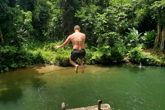 Rainforest and Junglequi Zipline Combo Tour - San Juan Marriott Pickup: The Day Starts With Zero Headaches