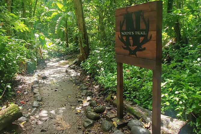Rainforest and Junglequi Zipline Combo Tour - Luquillo Beach Kiosks: Lunch-At-Your-Own-Expense and a Local Break