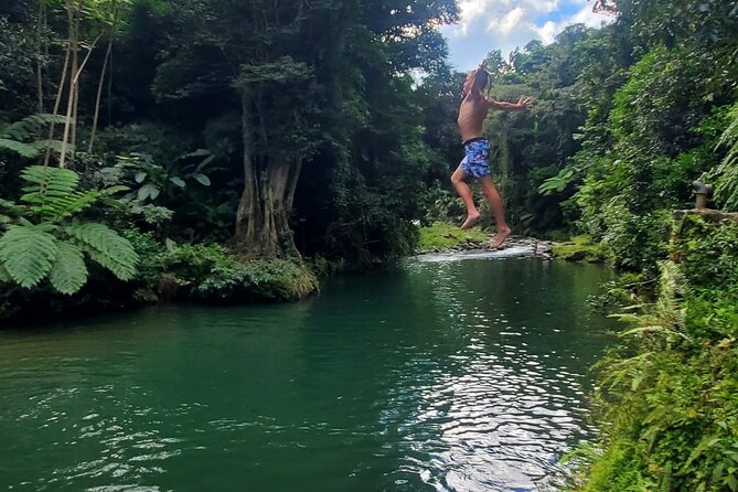 Rainforest and Junglequi Zipline Combo Tour - Who Should Book This Tour (and Who Should Skip It)