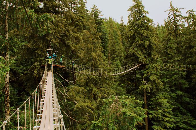 Rainforest Canopy & Zipline Adventure in Ketchikan, AK - Price and Value at $230.63: What You’re Paying For