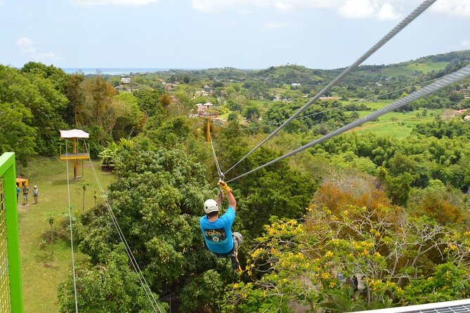 Rainforest Zipline in Foothills of the National Rainforest - Key highlights you’ll care about