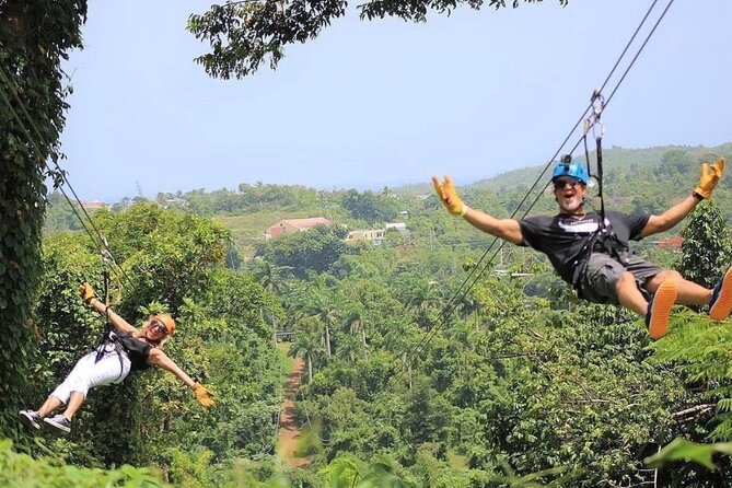 Rainforest Zipline in Foothills of the National Rainforest - The course plan: 8 lines, starting simple and ending with the park’s big finish