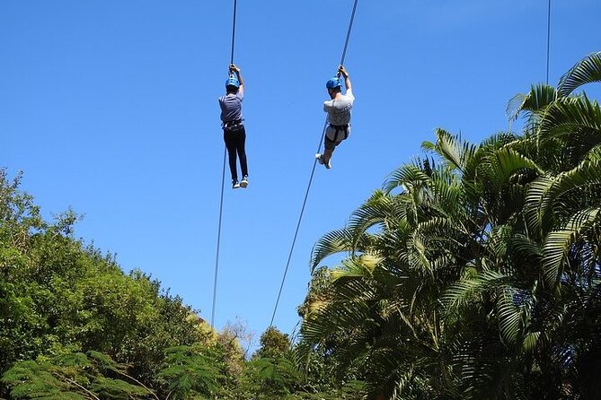Rainforest Zipline in Foothills of the National Rainforest - What your 1.5–2 hour timeline looks like on the ground
