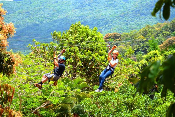 Rainforest Zipline in Foothills of the National Rainforest - Price and value: is $111.80 worth it?