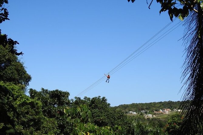 Rainforest Zipline in Foothills of the National Rainforest - Who this zipline trip fits best (and who should think twice)