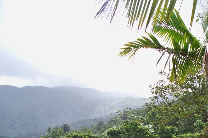 Rainforest Zipline, Luquillo Beach, and Natural Springs Day Trip - Price and logistics: does $199.99 make sense?