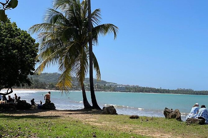 Rainforest Zipline, Luquillo Beach, and Natural Springs Day Trip - Smart packing tips that actually help