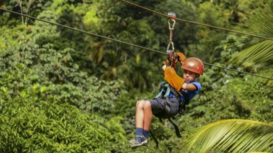 Rainforest Ziplining Adventure - Small practical tips for a smoother ziplining day