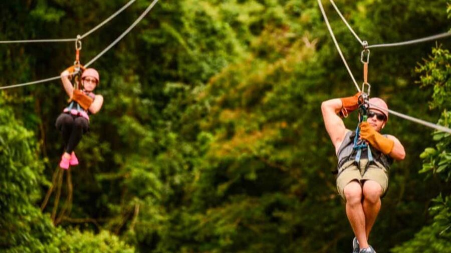 Rainforest Ziplining Adventure - Side-by-side runs: a more fun way to do ziplining