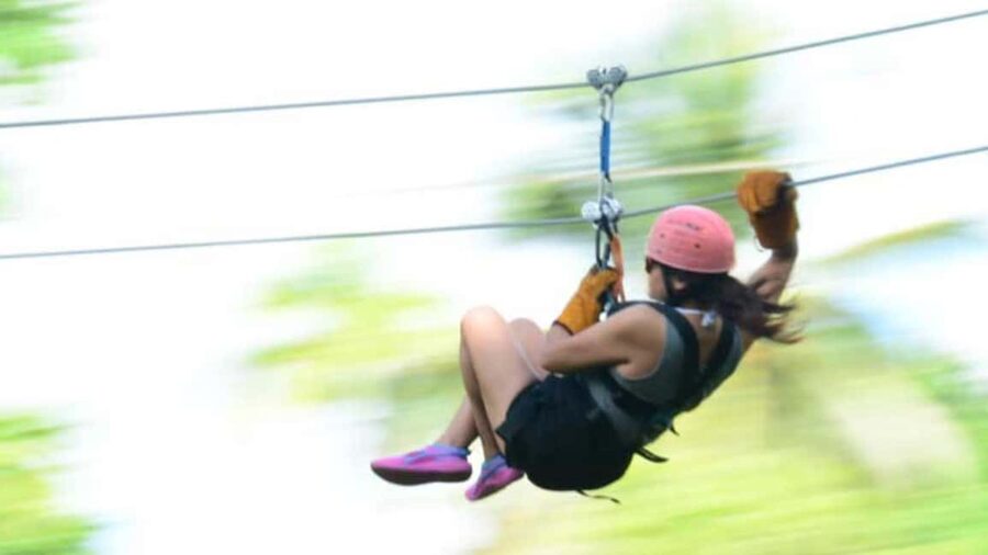 Rainforest Ziplining Adventure - Who should book this rainforest zipline, and who should skip