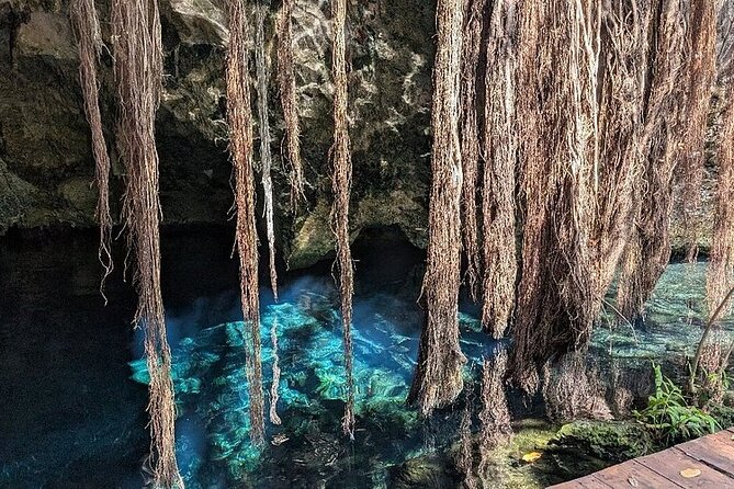 Riviera Maya Half Day Casa Jaguar Cenote, Zipline and ATV - Optional ATV trails: the adrenaline choice (and what to expect)