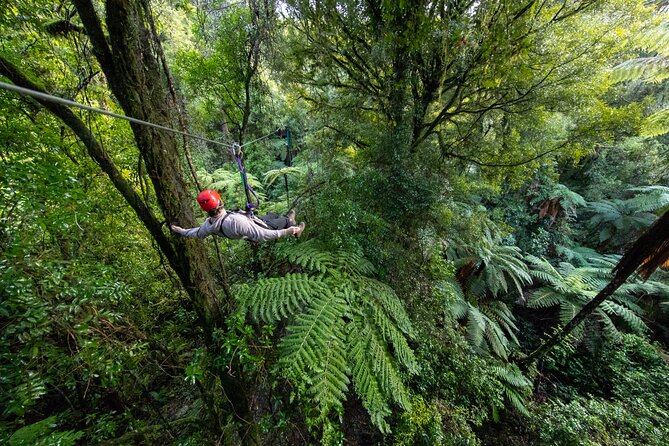 Rotorua Canopy Tours: 2.5Hour Native Forest Zipline Adventure - The first step: gear, briefing, and a calm start