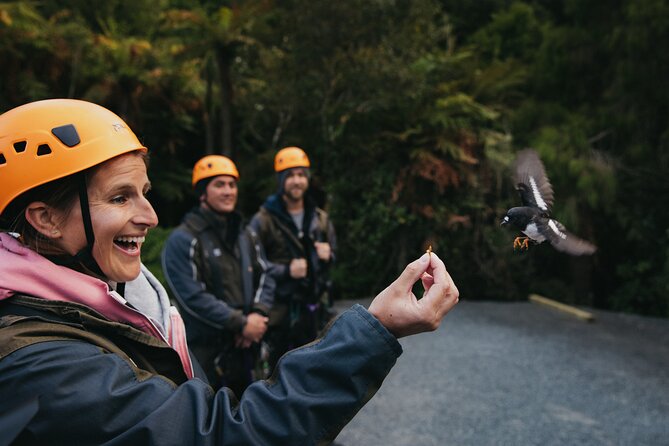 Rotorua Canopy Tours: 2.5Hour Native Forest Zipline Adventure - Conservation isn’t a side note here