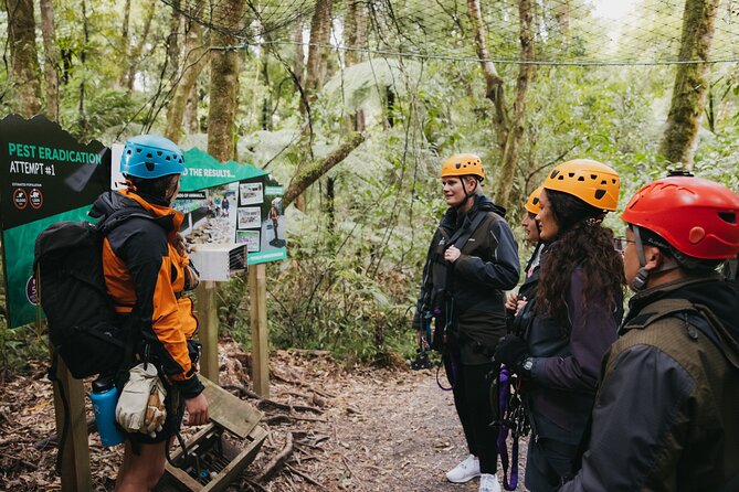 Rotorua Canopy Tours: 2.5Hour Native Forest Zipline Adventure - Photos and wet-weather gear: the practical stuff that saves your day