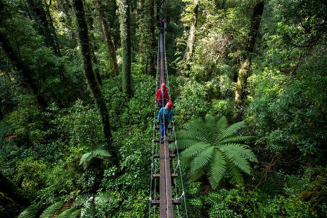 Rotorua Canopy Tours: 2.5Hour Native Forest Zipline Adventure - Value check: is $123.49 a fair price for this experience?