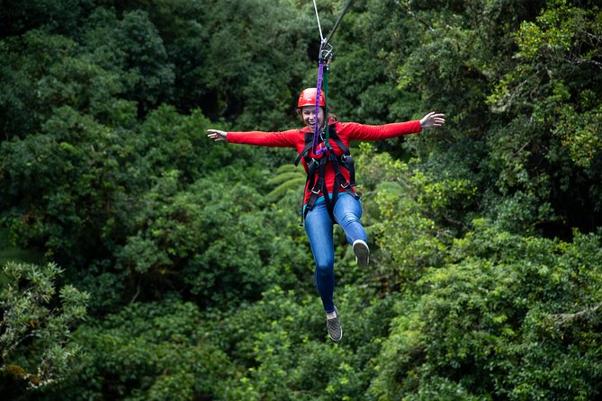 Rotorua Canopy Tours: 2.5Hour Native Forest Zipline Adventure - Who should book this zipline, and who should skip it