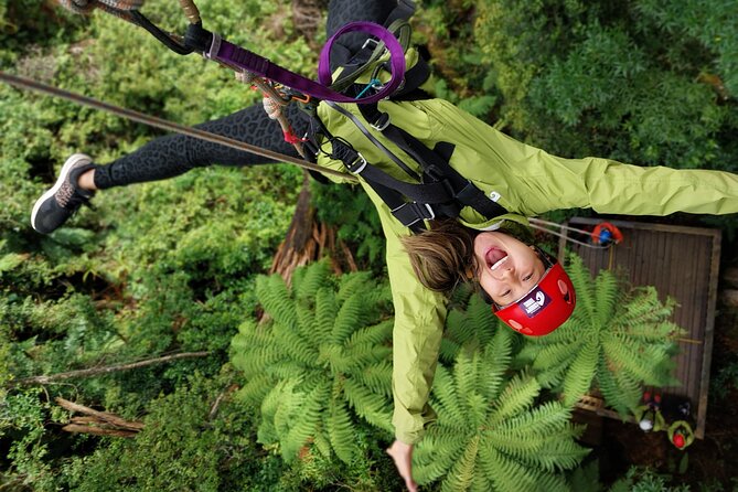Rotorua’s Ultimate Zipline: 6 ziplines, 400 m Tandem, Cliff Walk - Key Highlights You’ll Feel (Not Just Read About)