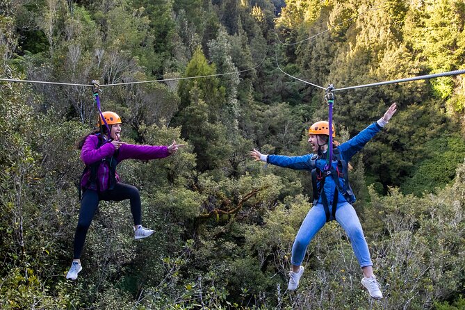 Rotorua’s Ultimate Zipline: 6 ziplines, 400 m Tandem, Cliff Walk - What This Rotorua Ultimate Zipline Feels Like Above the Trees