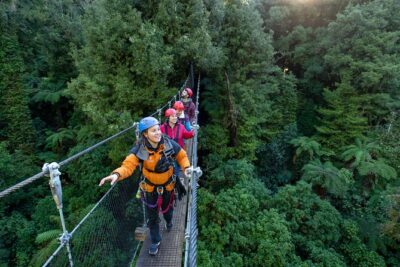 Rotorua’s Ultimate Zipline: 6 ziplines, 400 m Tandem, Cliff Walk - The Zipline Sequence: Six Lines, Plus That 400m Tandem Moment