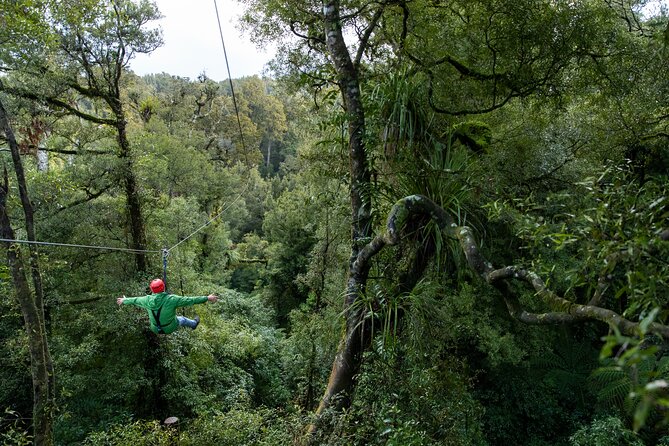Rotorua’s Ultimate Zipline: 6 ziplines, 400 m Tandem, Cliff Walk - Price and Value: Is $166.93 Worth It?