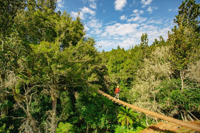 Rotorua Ziplines - Okere Falls Experience - Stop 1: Okere Falls and the Zipline Over the Kaituna River