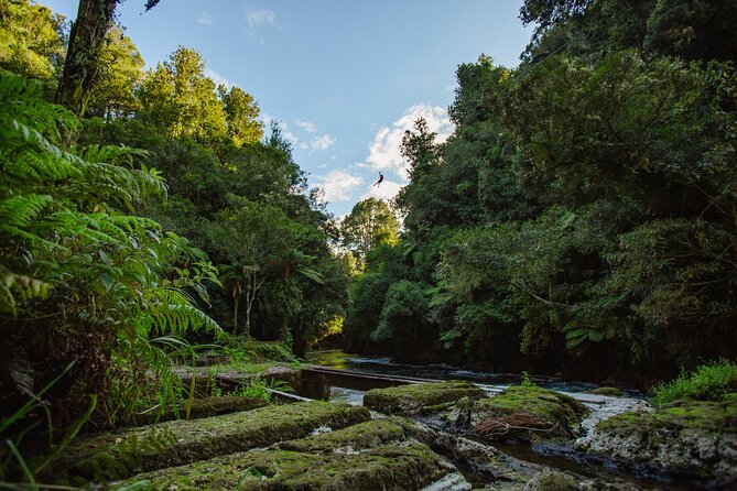 Rotorua Ziplines - Okere Falls Experience - The Māori Layer: Māori Teas, Mauri, and Ngāti Hinerangi Stories