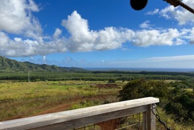 Shaka Zipline: 8 Line Zipline Tour (80 - 260 lbs) - The 8-line ride: jungle to valley to ocean views