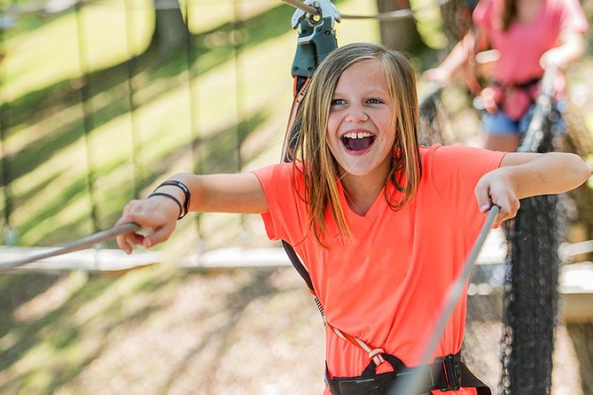 Small-Group 7-Line Zipline Activity at Sevierville Nature Park - Key highlights you’ll actually care about