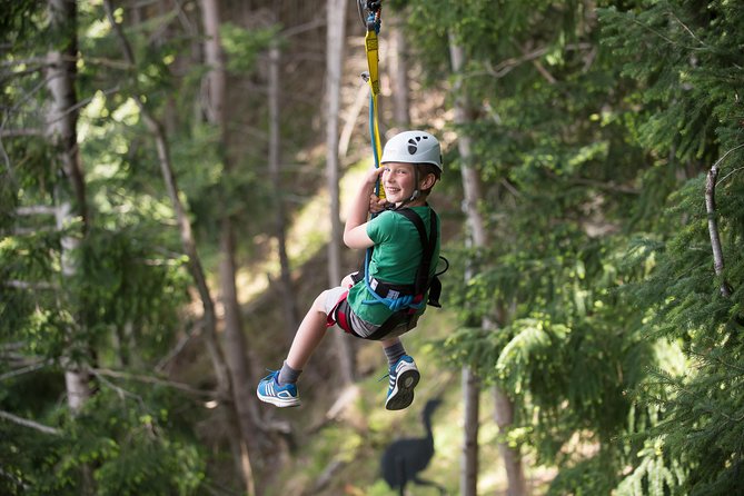 Small-Group Zipline Adventure in Queenstown - Courses for different courage levels: Ecotour, Kea, and Kereru