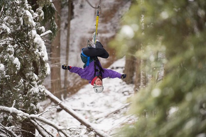 Small-Group Zipline Adventure in Queenstown - Who should book this zipline in Queenstown (and who should skip it)
