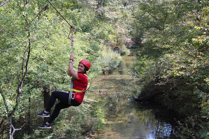 Small-Group Zipline Tour in Hot Springs - Key Things That Make This Hot Springs Zipline Tour Worth It