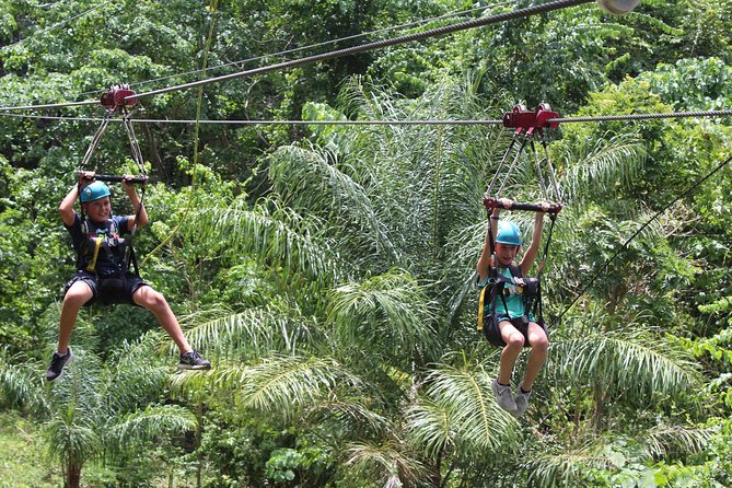 St. Kitts Zipline Experience - Key Things I’d Put on Your Must-Know List