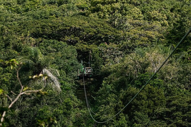 St. Kitts Zipline Experience - Where Sky Safari Starts: A Historic Sugar Estate Feel