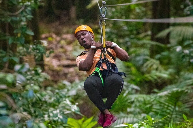 St. Lucia 3 in 1 Combo: Aerial Tram, Rainforest Trail & Zipline - Key highlights worth planning for