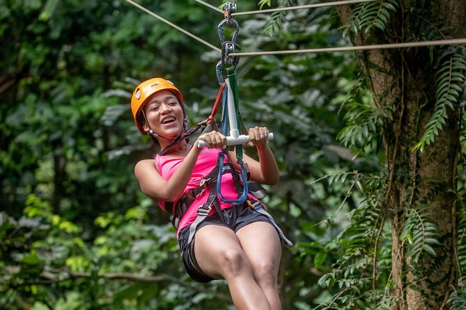St. Lucia 3 in 1 Combo: Aerial Tram, Rainforest Trail & Zipline - Castries Waterworks Forest Reserve: your rainforest basecamp
