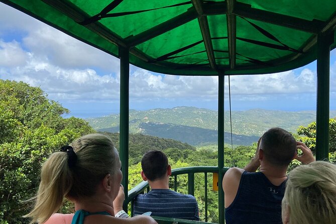 St. Lucia 3 in 1 Combo: Aerial Tram, Rainforest Trail & Zipline - Rainforest trail with a nature interpreter: what you’ll look for on foot