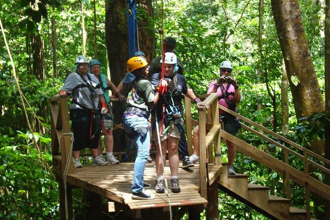 St. Lucia 3 in 1 Combo: Aerial Tram, Rainforest Trail & Zipline - Value check: $107 per person for three guided rainforest experiences