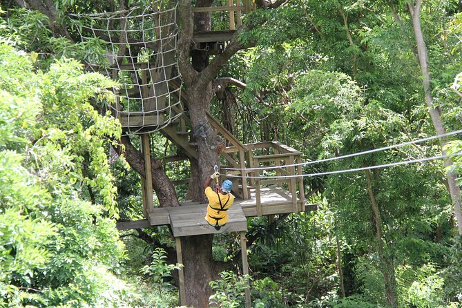 St. Lucia Morne Coubaril Estate Zipline Experience - Price and Value: Is $76.93 a Good Deal?