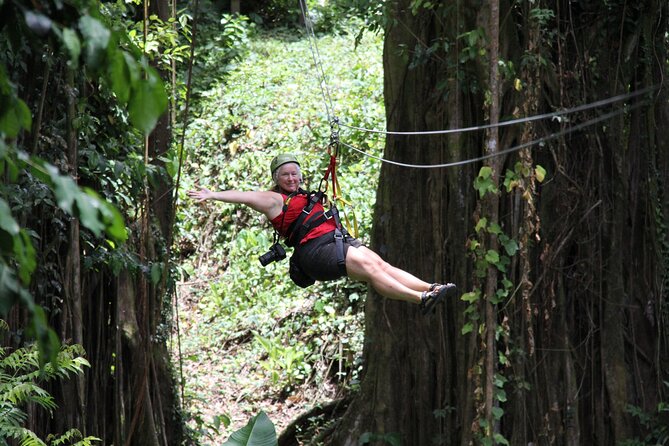 St. Lucia Morne Coubaril Estate Zipline Experience - Should You Book the Morne Coubaril Zipline?