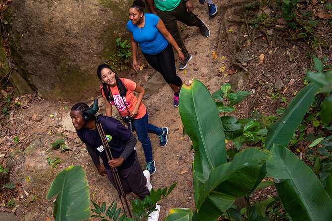 St Lucia Ultimate 3 Package: Aerial Tram, Zipline and Hiking - What to Wear, Bring, and Know About Height and Body Fit