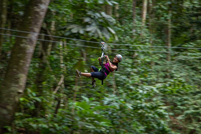 St Lucia Ultimate 3 Package: Aerial Tram, Zipline and Hiking - Cruise-Ship Timing and Getting Back Before Boarding