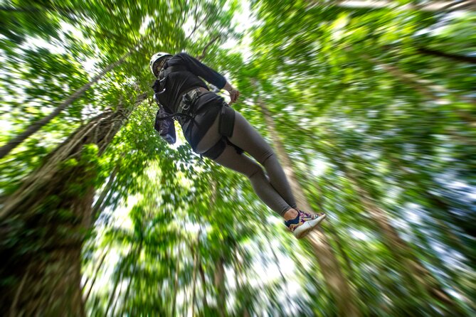 St. Lucia Zip line, Aerial Tram and Hiking tour Ultimate 3 - Ziplining the canopy: 8 lines, 16 platforms, serious fun