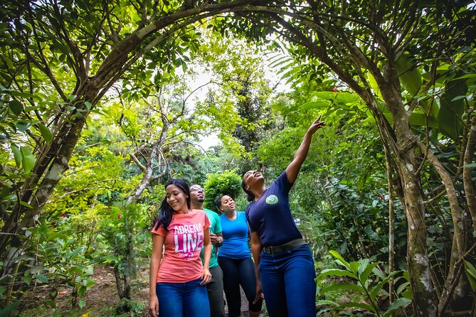 St. Lucia Zip line, Aerial Tram and Hiking tour Ultimate 3 - Price and value: why $95 feels reasonable here