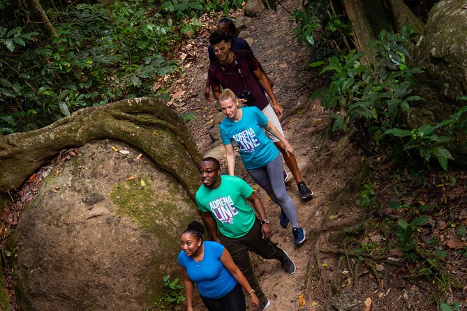 St. Lucia Zip line, Aerial Tram and Hiking tour Ultimate 3 - Who should book (and who should skip) Ultimate 3