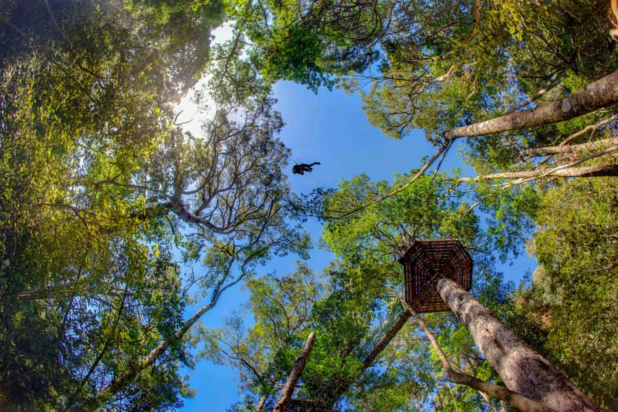 Storms River: Tsitsikamma National Park Zipline Canopy Tour - Why This Canopy Zipline Feels Like More Than a Ride