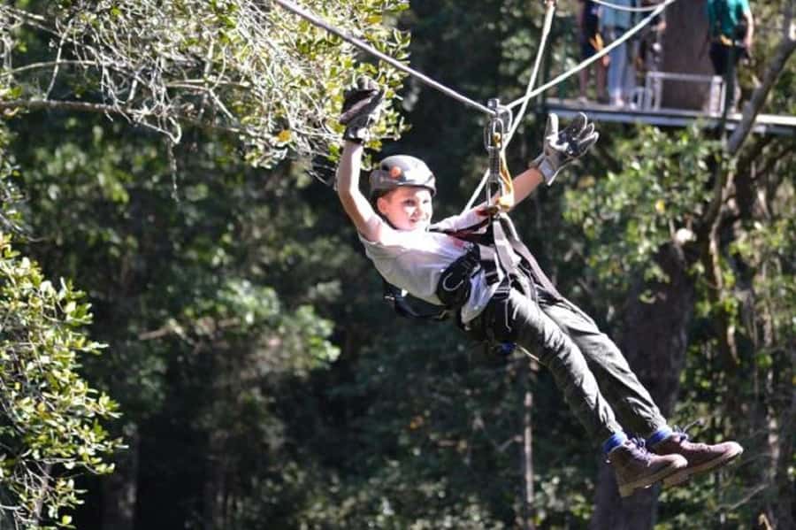 Storms River: Tsitsikamma National Park Zipline Canopy Tour - The 150 Minutes Over Tsitsikamma: A Platform-to-Platform Flow